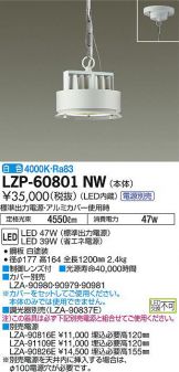 LZP-60801NW