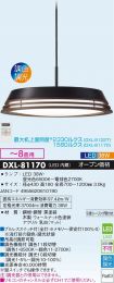 DXL-81170