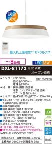 DXL-81173