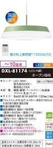 DXL-81174
