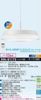 DXL-81175