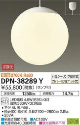 DPN-38289Y
