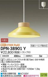 DPN-38901Y