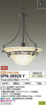 DPN-38929Y
