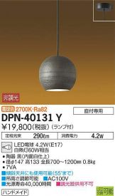 DPN-40131Y