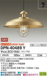 DPN-40489Y