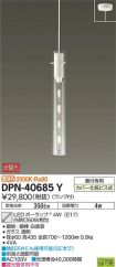 DPN-40685Y