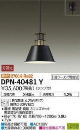 DPN-40481Y