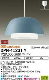 DPN-41231Y