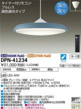 DPN-41234