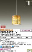 DPN-38761Y