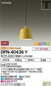 DPN-40436Y