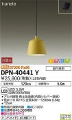 DPN-40441Y