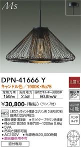 DPN-41666Y