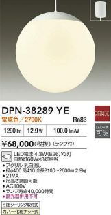 DPN-38289YE