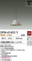 DPN-41453Y