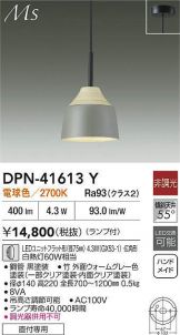 DPN-41613Y