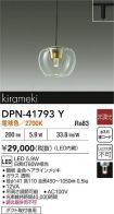 DPN-41793Y