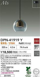 DPN-41919Y