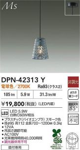 DPN-42313Y