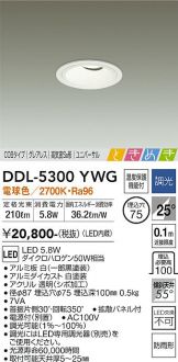 DDL-5300YWG