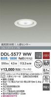 DDL-5577WW