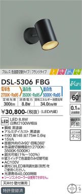 DSL-5306FBG