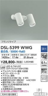 DSL-5399WWG