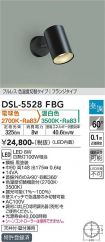 DSL-5528FBG