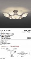 ERC2022SB