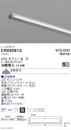 ERX9581S