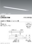 ERK9079W