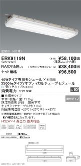 ERK9119N-RA625NB-4