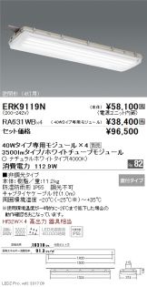 ERK9119N-RA631WB-4