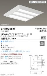 ERK9755W