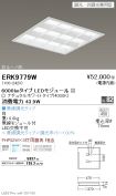 ERK9779W
