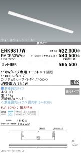 ERK9817W-RAD533WA