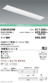 ERK9929W-RAD760W