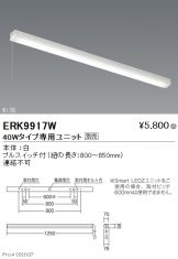 ERK9917W