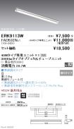 ERK9113W-...