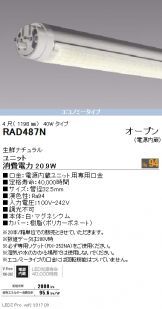 RAD487N-20
