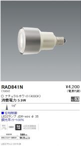 RAD841N