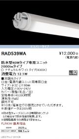 RAD539WAx10