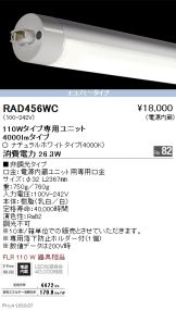 RAD456WCx10