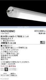 RAD538NCx10