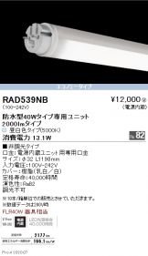 RAD539NBx10