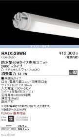 RAD539WBx10