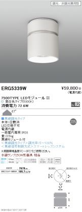 ERG5339W