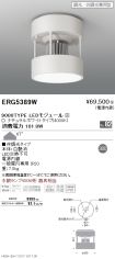 ERG5389W