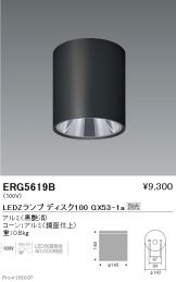 ERG5619B